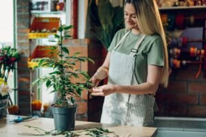 Florist female pruning potted plant with a pruning shears